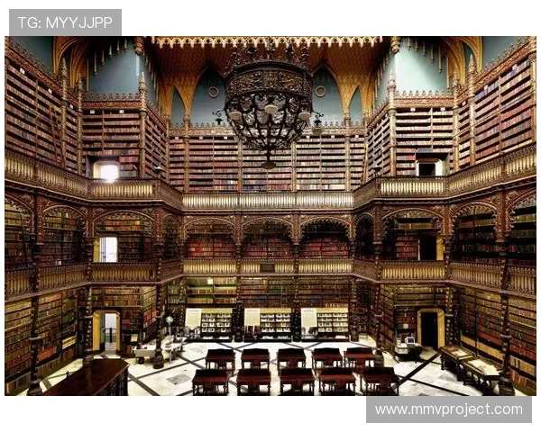 z6尊龙游戏角色装备搭配指南详细介绍最优装备组合方案推荐