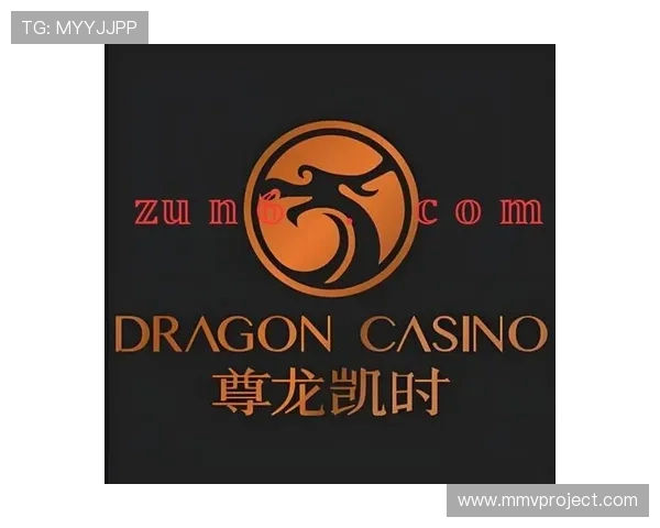 尊龙人生就是搏z6：结合实际案例讲解游戏中的风险与收益，提升你的决策能力